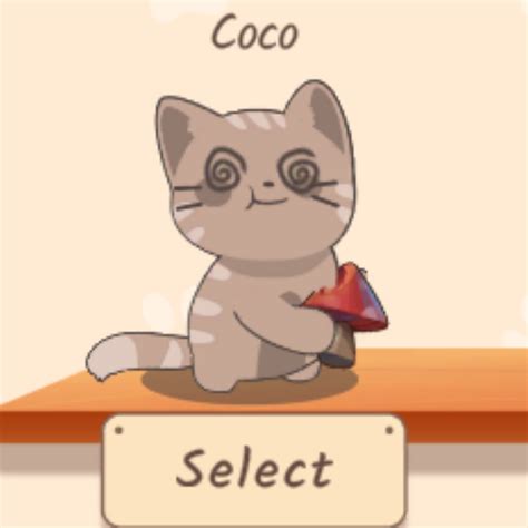 coco the cat duo